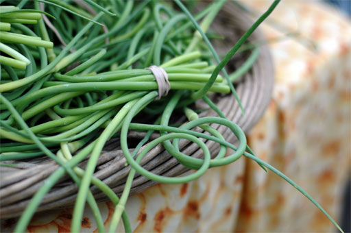 Garlic scapes