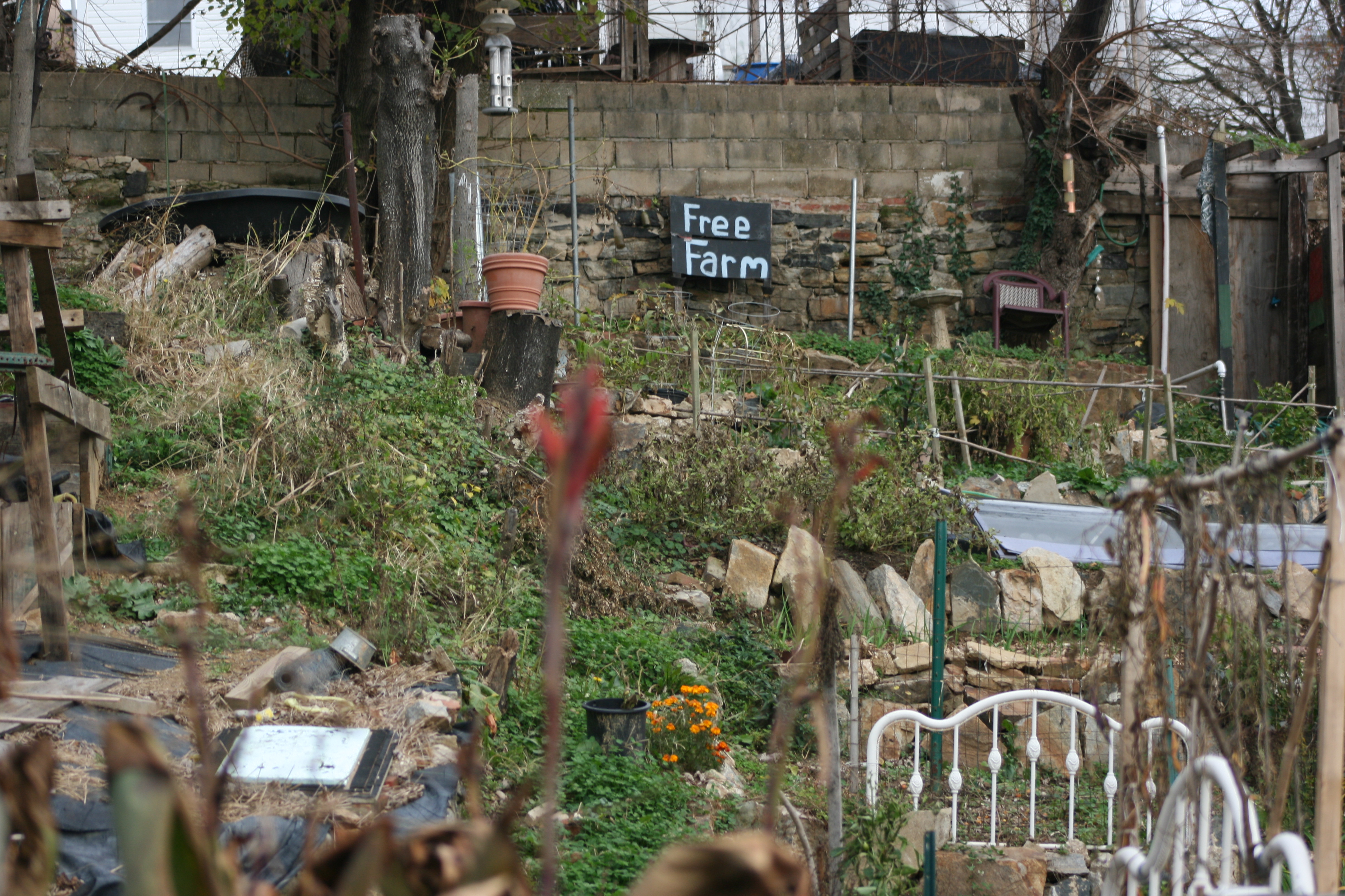 Baltimore Free Farm