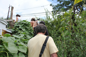 Sound Bites documentary recording at the Baltimore Free Farm