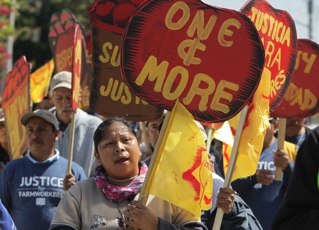 Coalition of Immokalee Workers