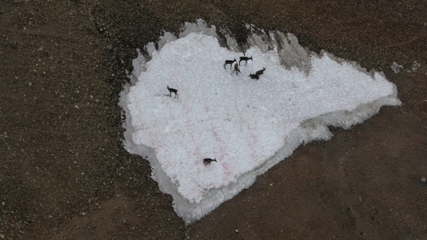 Melting of Arctic ice and frozen Siberian tundra