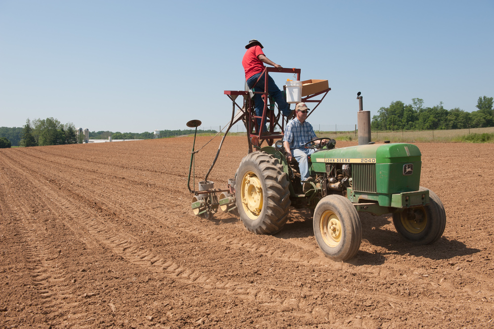 University of Maryland Central Maryland Research and Education Center - University Dairy Farm, Clarksville MD