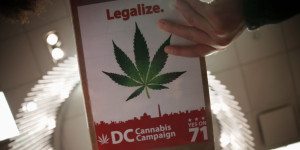 WASHINGTON, DC - FEBRUARY 28:  A clipboard with information on a seed exchange event is passed around during a ComfyTree Cannabis Academy conference February 28, 2015 in Washington, DC. Attendees participated in the conference to gain knowledge on how to legally enter and operate in the cannabis industry.  (Photo by Alex Wong/Getty Images)