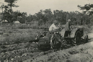 African American farmers