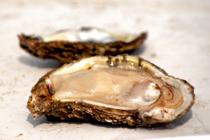Oysters, Photo Credit: chesbayprogram via Compfight