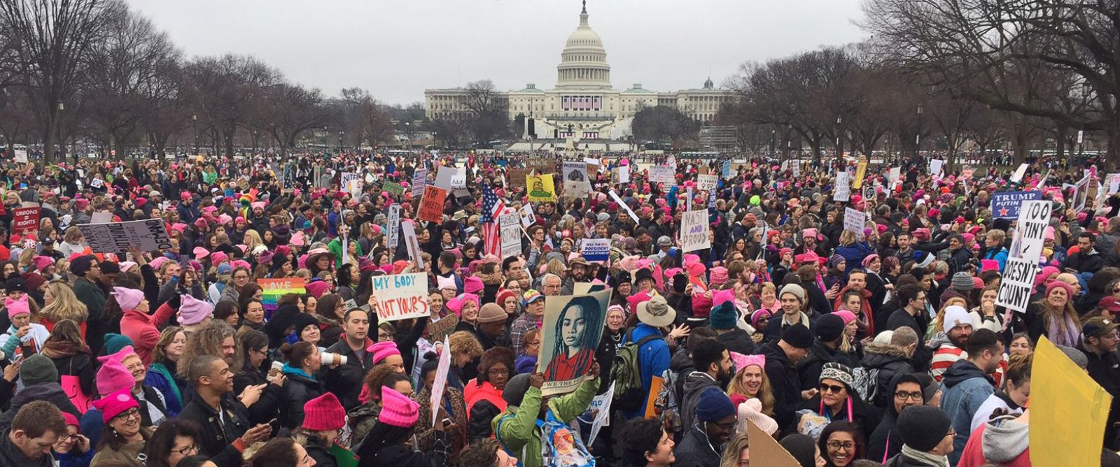 DC Womens March on Washington (Credit: ABC News)